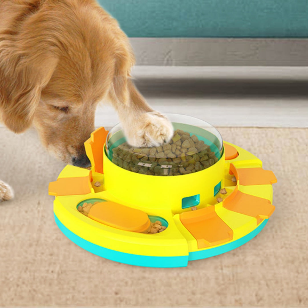 Round Bowl and Puzzle Feeder Toy