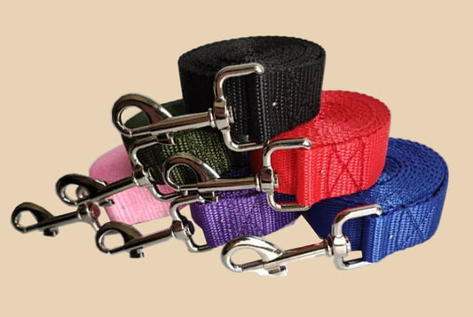 2.5CM Wide And Long Dog Leash